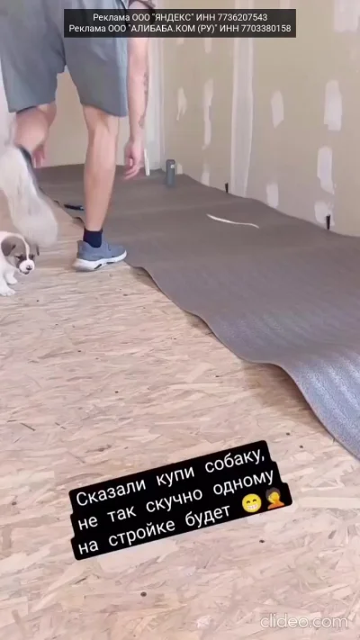 Скучно никогда не будет!