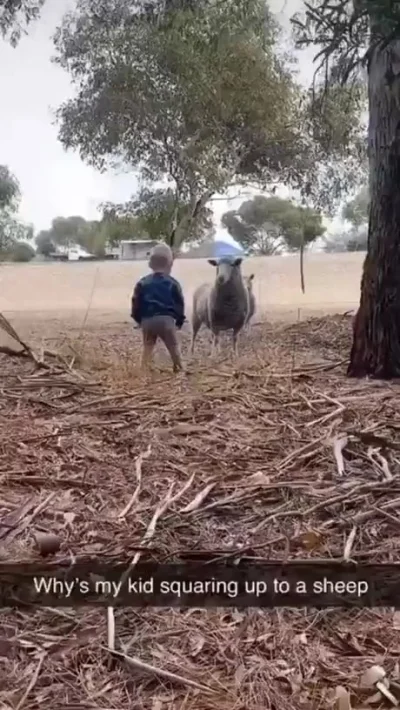 Уступать никто не хотел