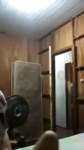 Кошмар на улице Вязов