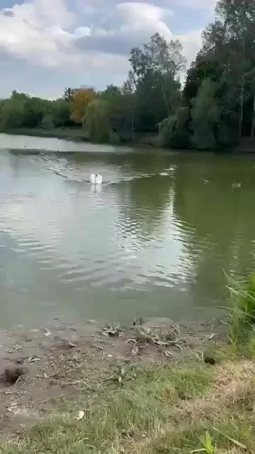 Валера