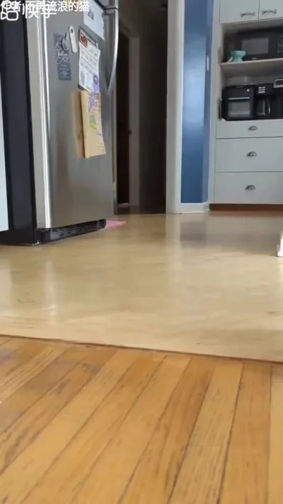 Кто тут главный ?)