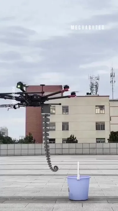 Осьминоги научили нас многому...