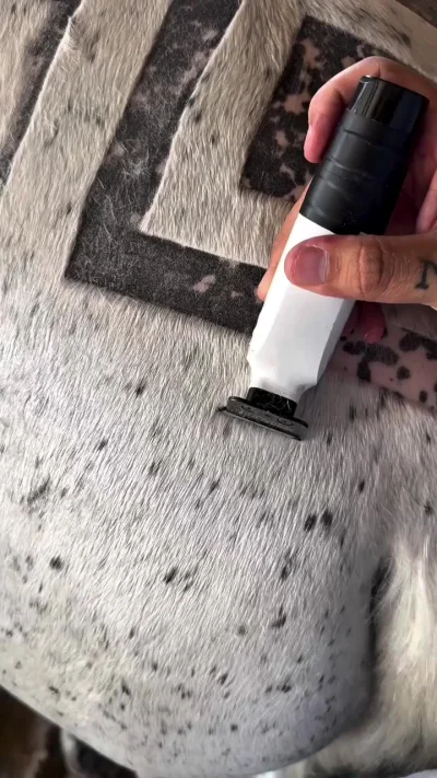 Лошади тоже ходят в барбершоп!