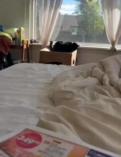 Ето я пытаюсь держаться, но проваливаюсь в осеннюю депрессю