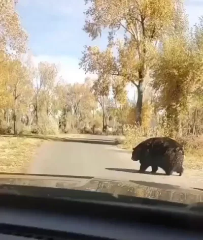 К зиме готов!
