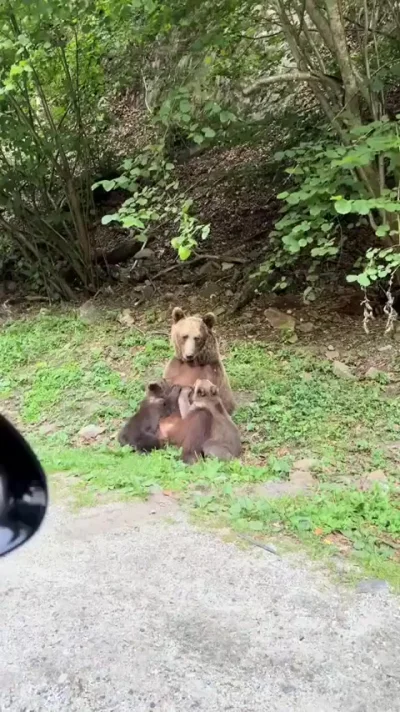 Мамины будни