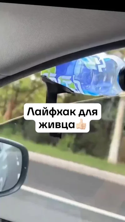 Как довезти живца живым