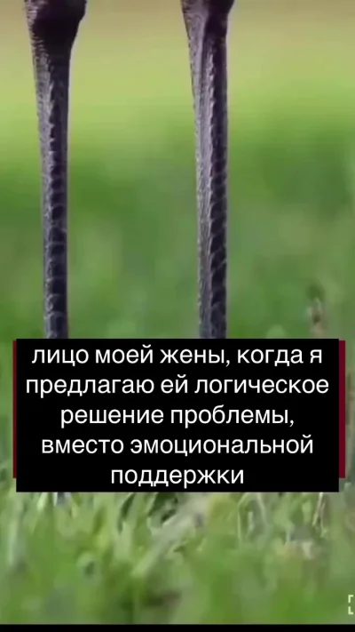 Незабываемо