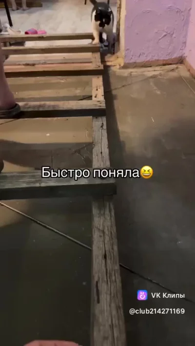 Понял с полуслова