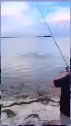 Кто кого ловит?