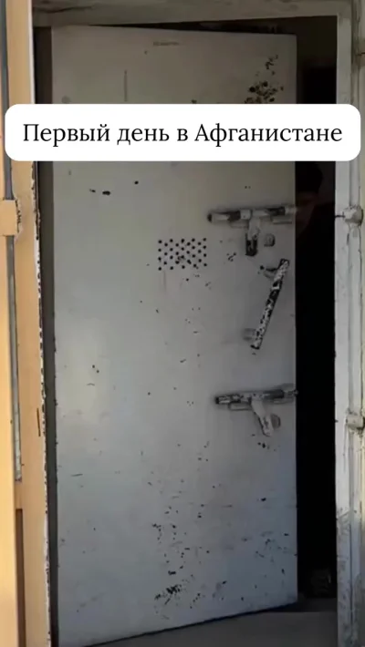 Ассимиляция