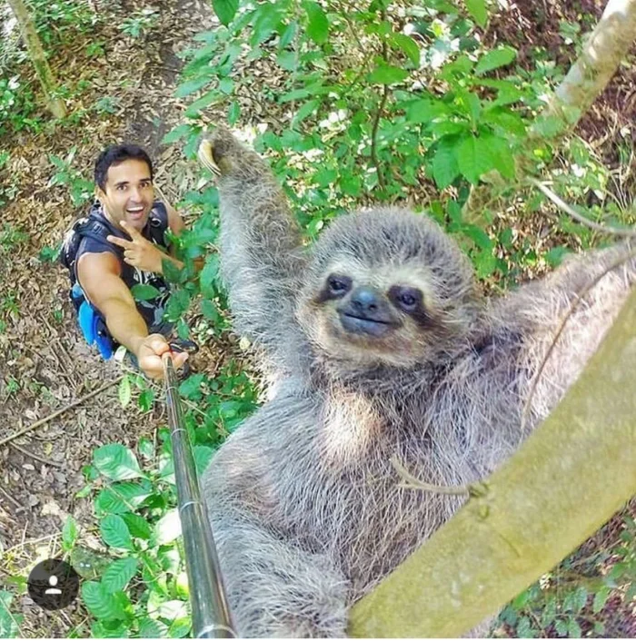 20 кадров, доказывающих, что реальность снимает лучшие сцены