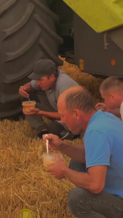 Обед в поле