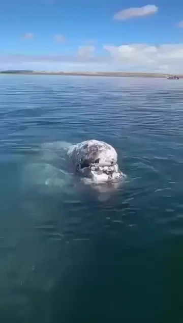 Прибыл на уборку