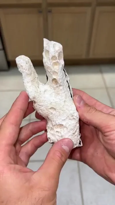 Коралловая жеода