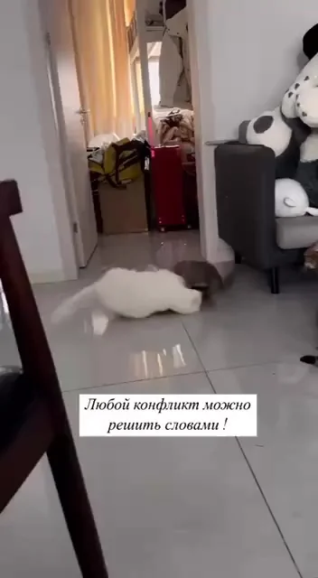 Любой конфликт можно решить словами