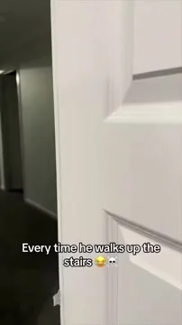 Welcome home, pirate!