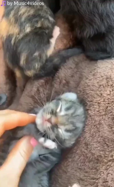 Проснулись