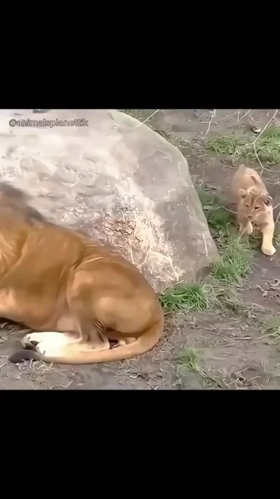 Отцы и дети