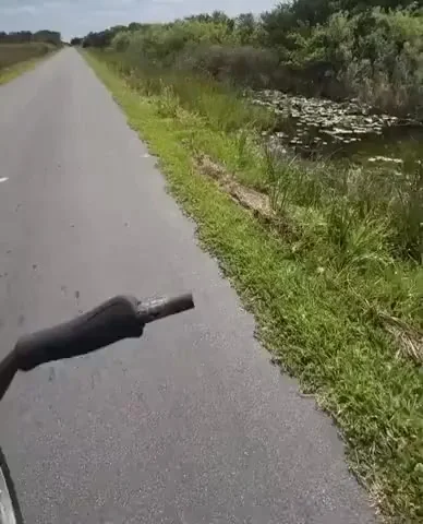 Вот так вот .. приезжаешь в деревню к бабушке