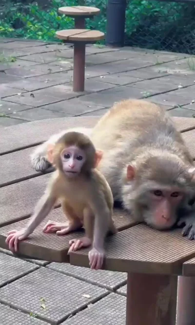 Нет покоя маме