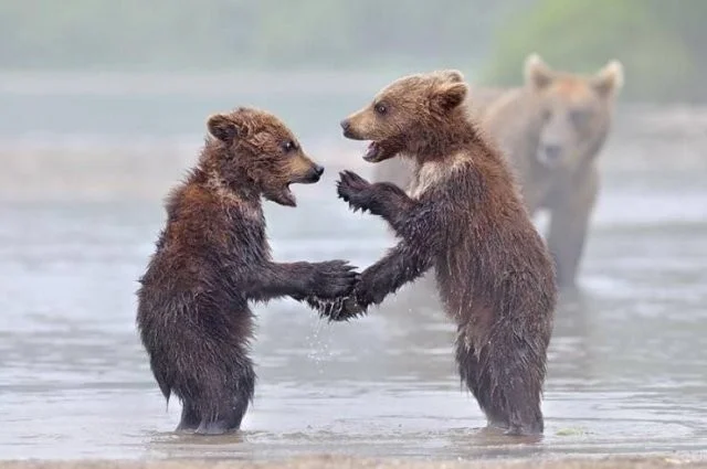 Неплохо намешалось