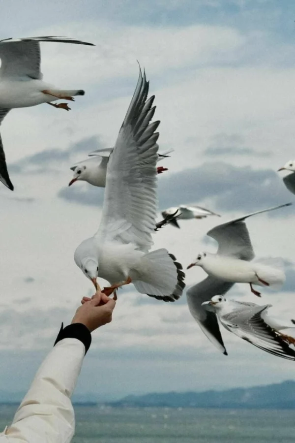 Взбалталось и намешалось