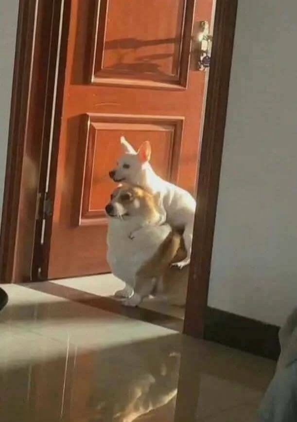 Снова намешалось