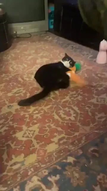 Нет веганству!