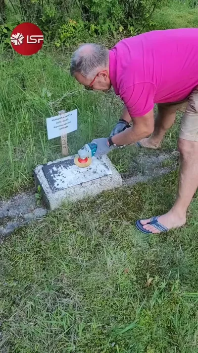 Да. Она. Да. Латвия. Да, нормальные люди есть