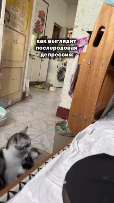 Ребёнка - в мусорку?