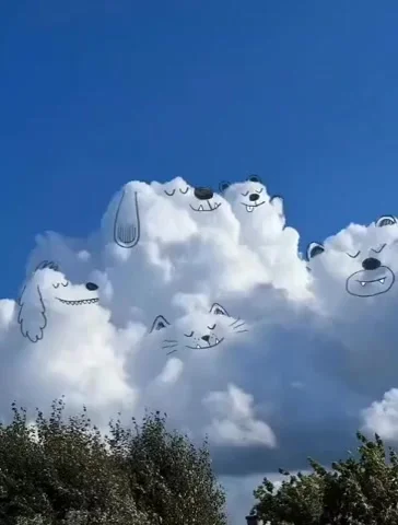 А по небу прокатите нас, облака