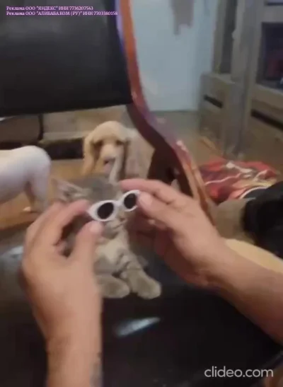 Када осознал, что ты самый офигенный в мире кесулькен