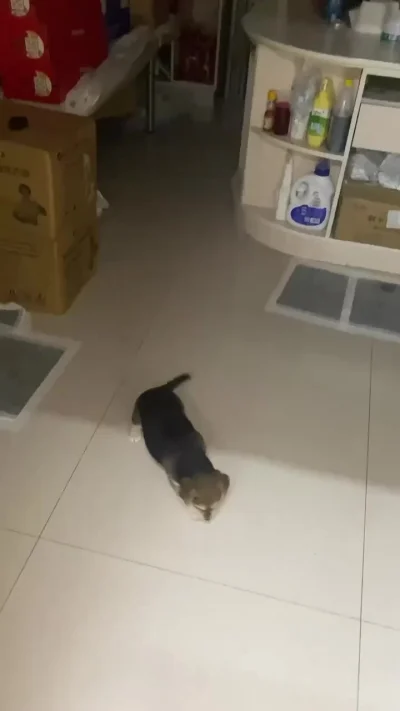 Шёл, шёл и упав