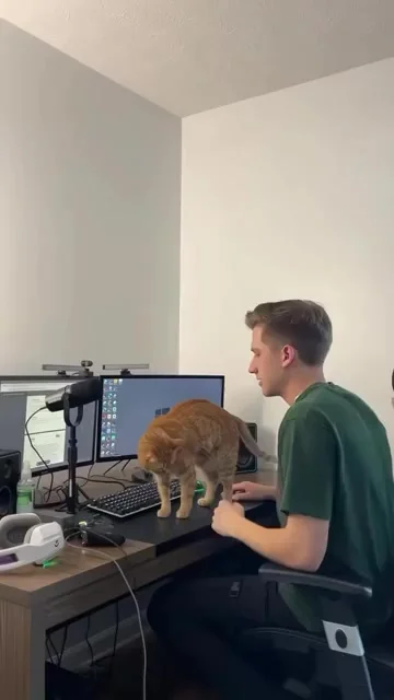 Самый необходимый компьютерный девайс