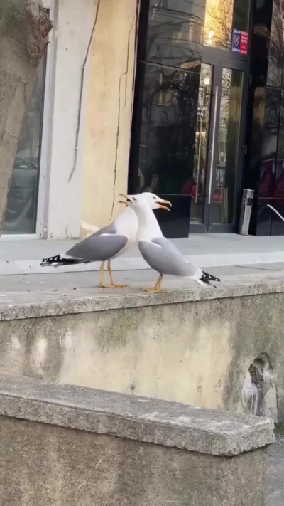 Уровень драмы 100