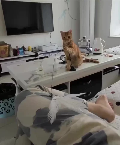 Я думал будет наоборот……