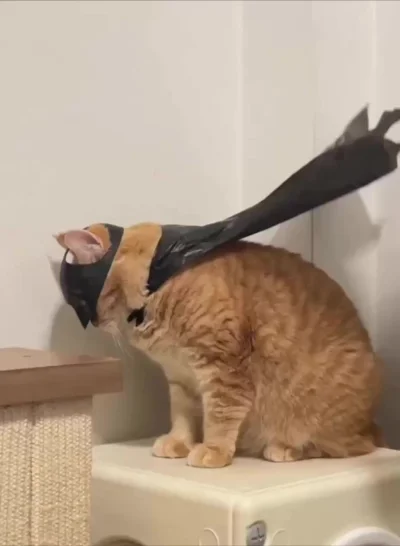 Етому городу нужен новый герой