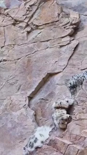 Приятного аппетита!