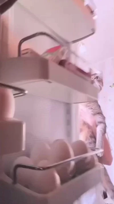 Наш план на выходной