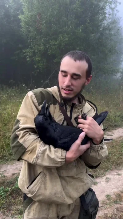 Кто такой красивый? Ворон конечно