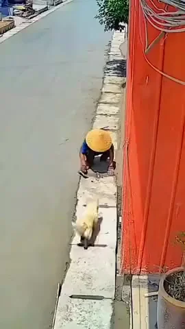 Новая разметка