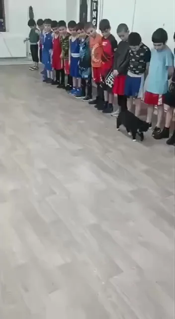 Помощник тренера