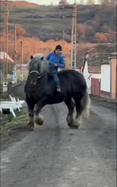 Когда угнал мерина V12