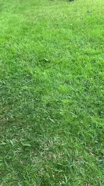 Процесс снаряжения патрона