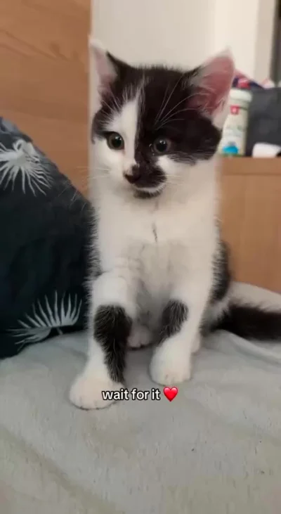 Вам просили передать сердечко