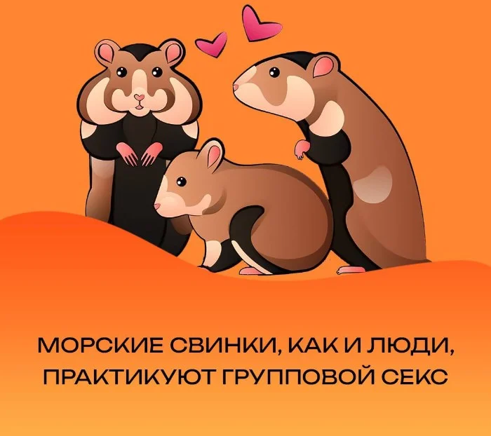 Сексуальная правда: 15 фактов, которым не научат в школе #157