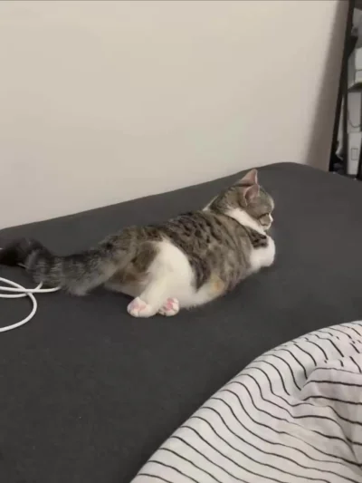 Кудя смотреш