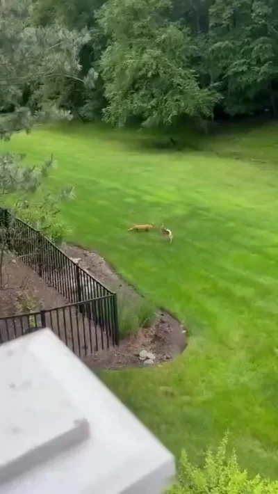 Играют... Концовка неожиданна