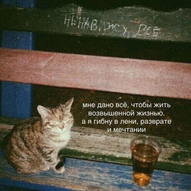 Смешные скрины из соцсетей #102